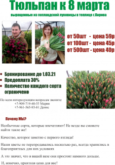 Тюльпаны к 8 МАРТА из собственной теплицы в г.Кирове